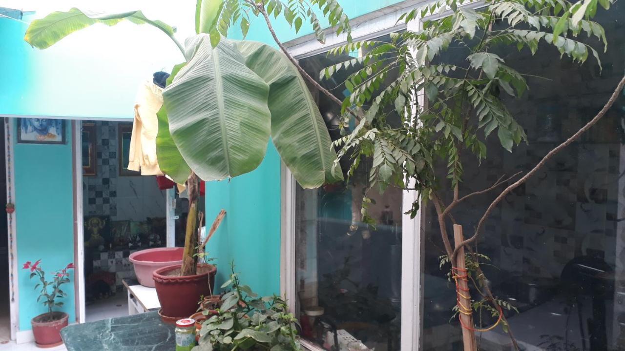 瓦拉纳西 塔拉旅馆酒店 外观 照片